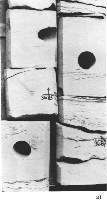 Black and white photo of core.