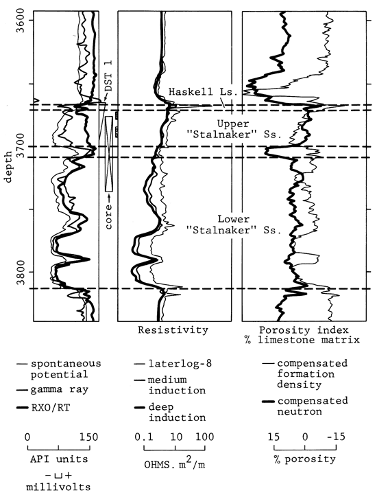 wireline logs for Robinson C-1.