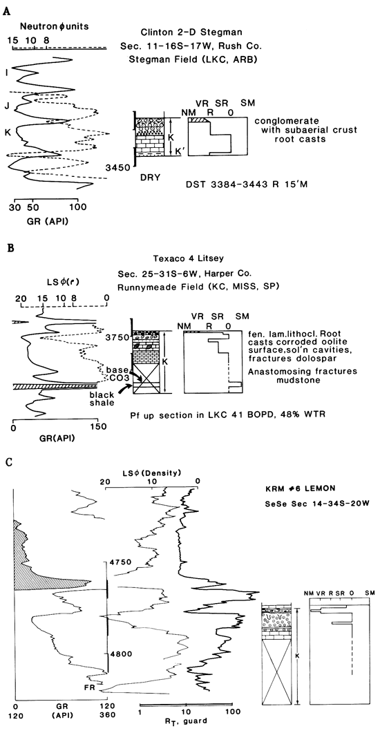 Wireline logs and core description for the three wells studied.