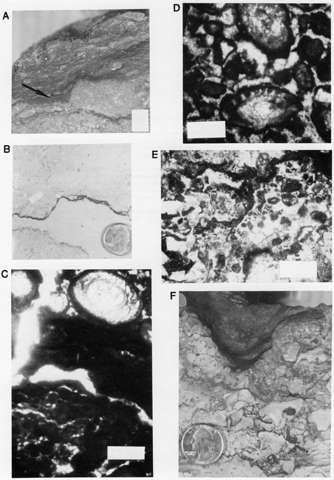 Six black and white photos of core.