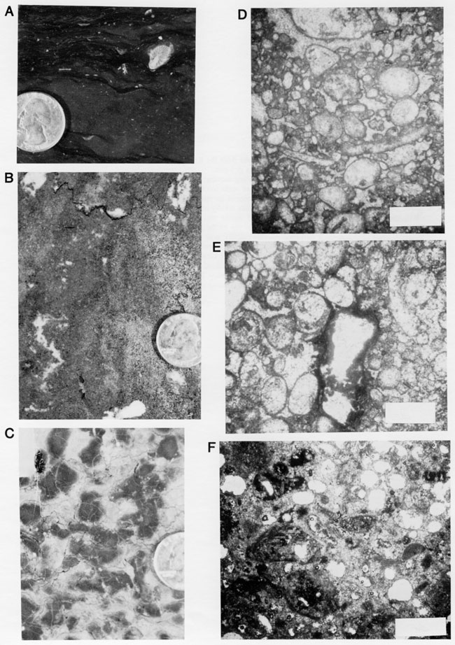 Six black and white photos of core.