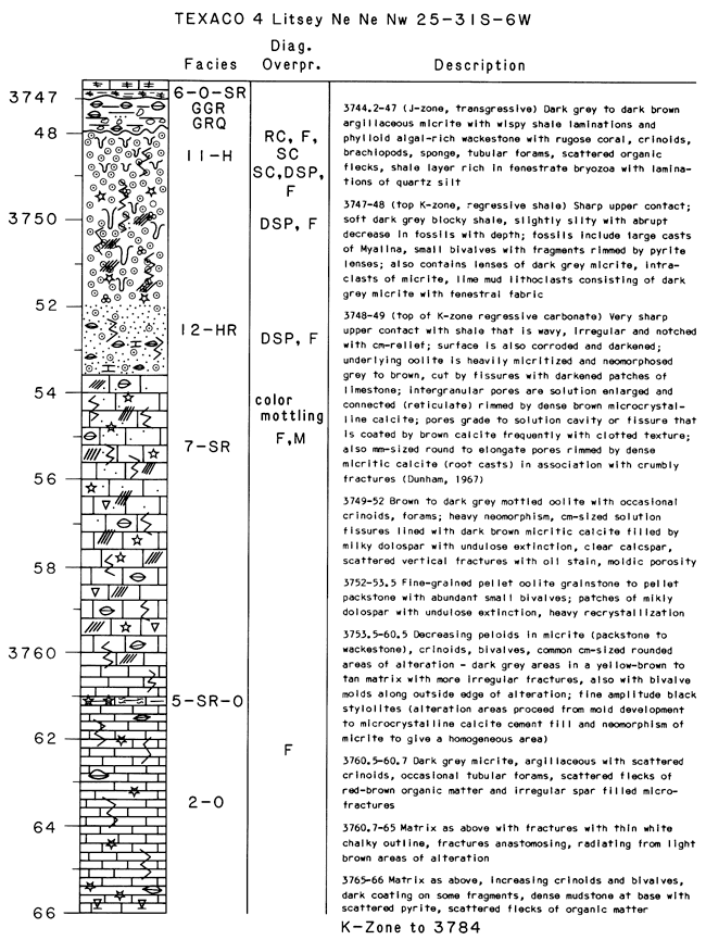 Core description of Texaco #4 Litsey.