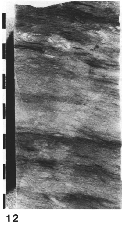 Black and white photo of core