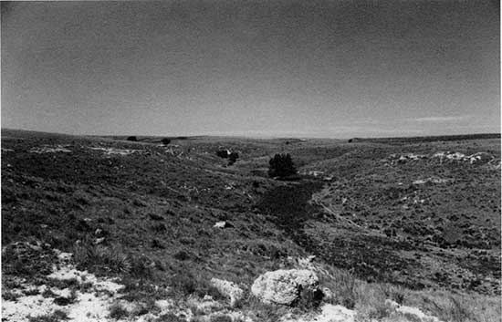 Black and white photo of mortar bed exposed in Ogallala Formation.