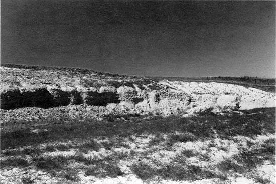 Black and white photo of mortar bed exposed in Ash Hollow Member of Ogallala Formation.