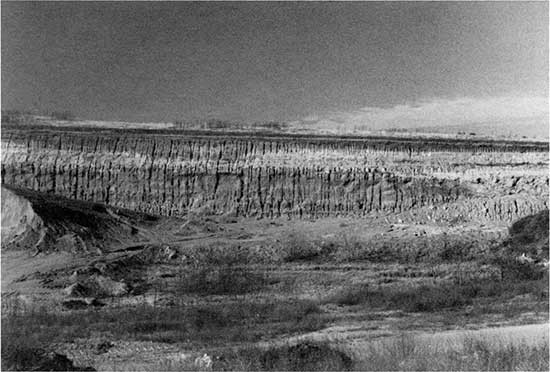 Black and white photo of Ash Hollow Member of Ogallala Formation in quarry.