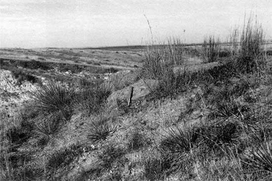 Black and white photo of siliceous Ogallala Formation.