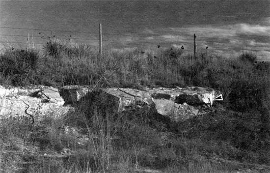 Black and white photo of lentil of silica-cemented sandstone.