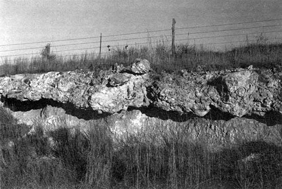 Black and white photo of mortar bed.