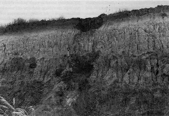 Black and white photo of Gilman Canyon Fm in railroad cut, close up.