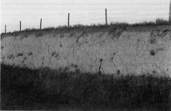 Black and white photo of Peoria loess in roadcut.