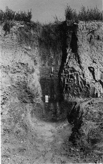 Black and white close up photo of Brady soil and Bignell Loess.