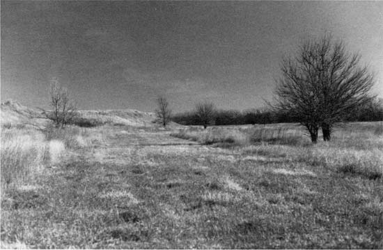 Black and white photo of Kirwin terrace landscape.