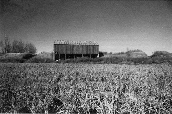 Black and white photo of Kirwin terrace landscape.