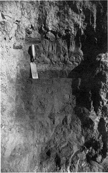 Black and white closeup photo of soil within Kirwin terrace.