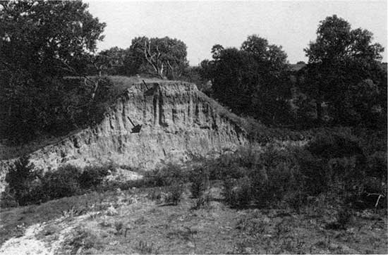 Black and white photo of fill beneath the high terrace in Deer Creek bank.