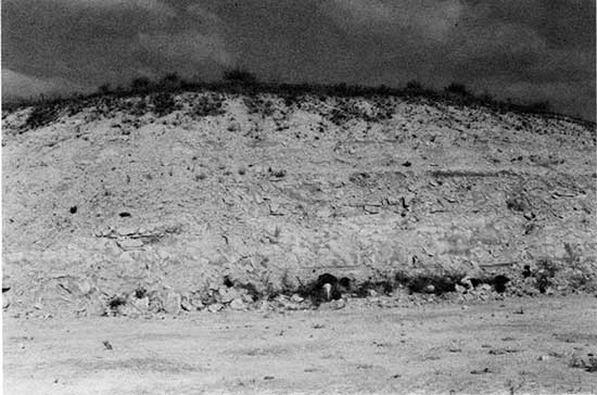 Black and white photo of outcrop of Fort Hays Limestone Member of Niobrara Chalk.