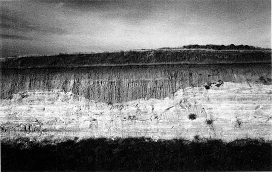 Black and white photo of channels cut into Smoky Hill Chalk Member.