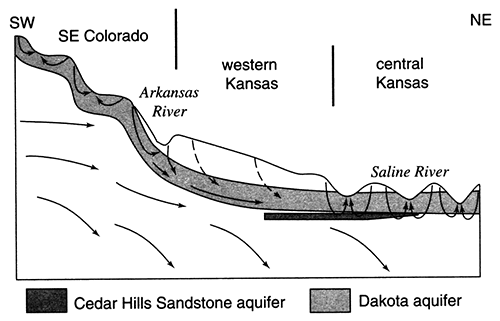 Conceptual model of ground-water flow through the confined Dakota aquifer from the regional recharge area in southeastern Colorado to the regional discharge area in central Kansas.