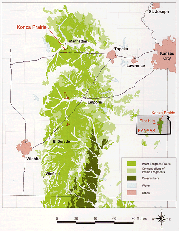 Map of eastern Kansas showing Konza Prairie in northern part of north-south band of tallgrass prairie.