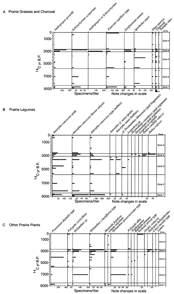 Summary of plant macrofossils derived from prairie species.