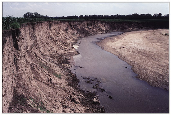 View of the cutbank at the Old Bridge site.