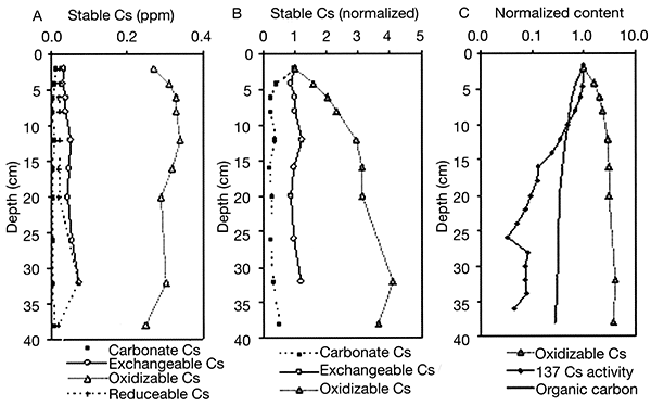 Cs distribution with depth.