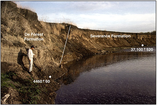 View of the cutbank at the Farwell site.