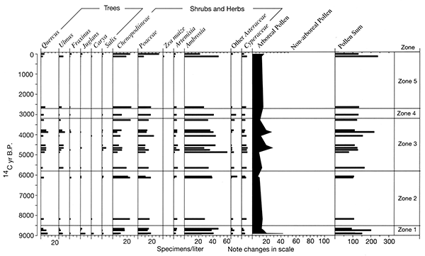 Pollen spectra for sediment samples collected from cutbanks along the South Fork of the Big Nemaha River.