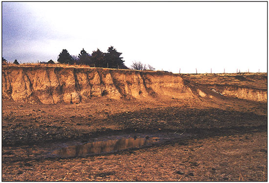 Photograph of the west lobe of the Simshauser fan.