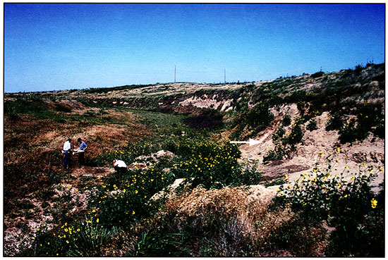 Color photograph of the Winger site.