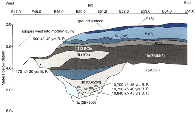 Cross section drawing through gully.