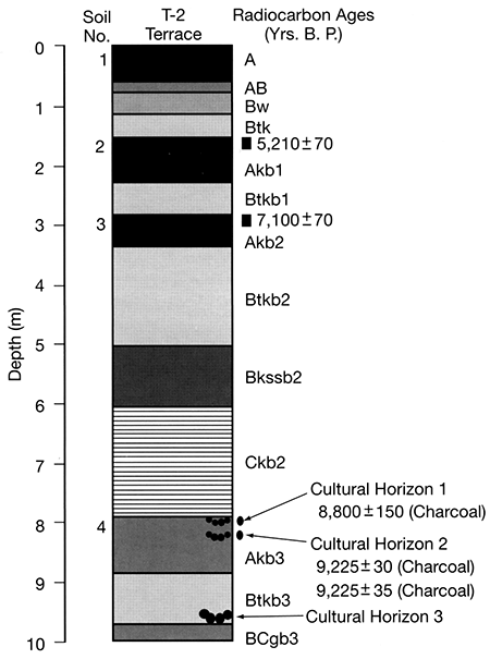 Radiocarbon ages ofT-2 terrace at the Claussen site.