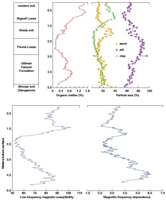 Three charts showing Stratigraphy, percent organic matter, panicle size, and magnetic susceptibility and frequency dependence for the Beisle-Steinle site.