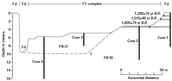 Cross section of T-2, T-1, and T-0 complexes.