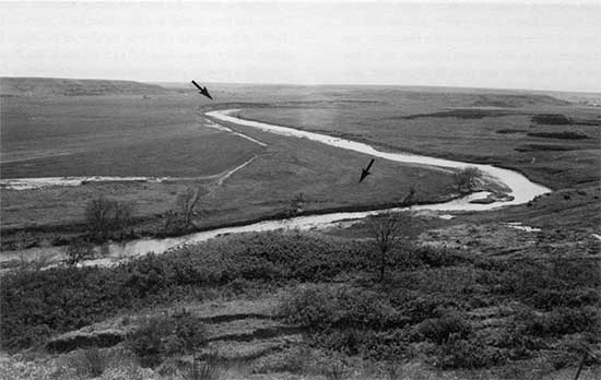 Black and white photo of Saline River showing landscape of Holocene alluvium.