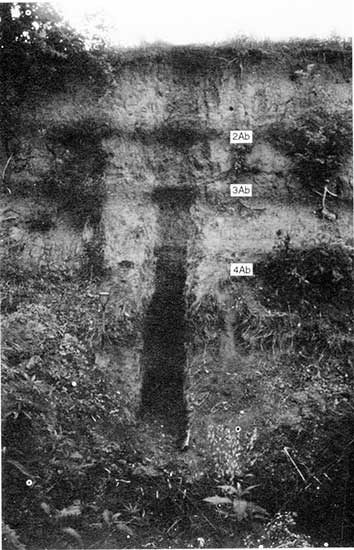 Black and white photo of T-2 terrace and alluvial fill in outcrop at Naylor site.