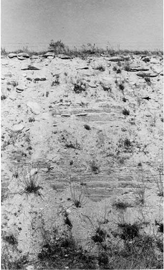 Black and white photo of Hartland Shale and Jetmore Chalk Members of the Greenhorn Limestone in a roadcut.