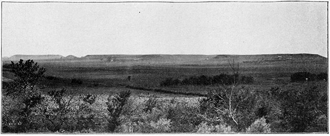 Black and white photo of portion of the row of mounds one mile north of Cherryvale.