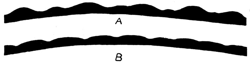 Anteroposterior sections across the ventral margin in mature Aviculopecten exemplarius Newell, n. sp.