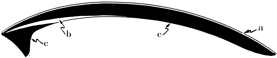 Diagrammatic cross-section through a Paleozoic pectinoid showing the three fundamental shell constituents.