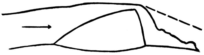 Plan view of part of the ligament area in left valve of the lectotype of Obliquipecten laevis Hind.