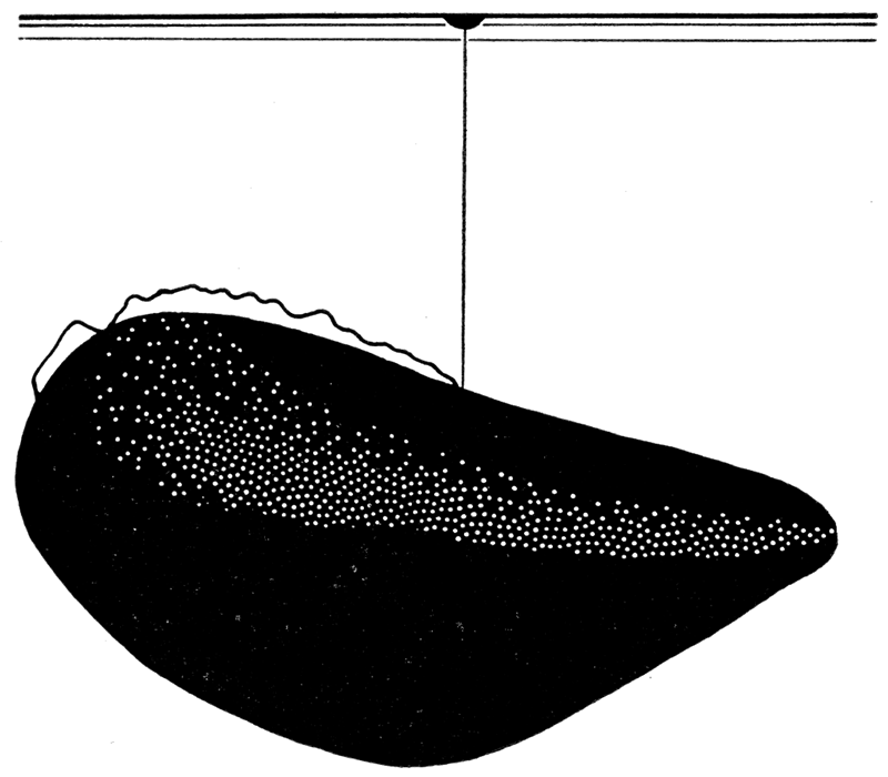 Mytilus edulis, early dissoconch, showing one method of suspension from surface film of water by byssal thread.