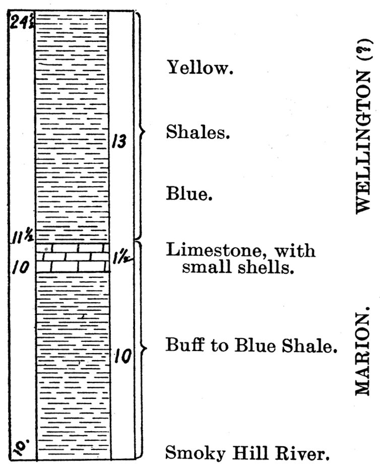 Section of Bacott Quarry, South of Salina.