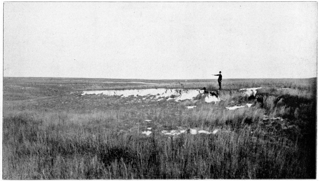 Black and white photo: side wall of an arroyo in the Tertiary of Meade County.