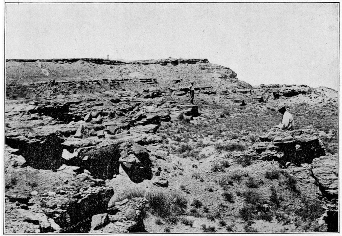 Black and white photo: Outcropping of Niobrara Chalk, Plum Creek, Gove County.