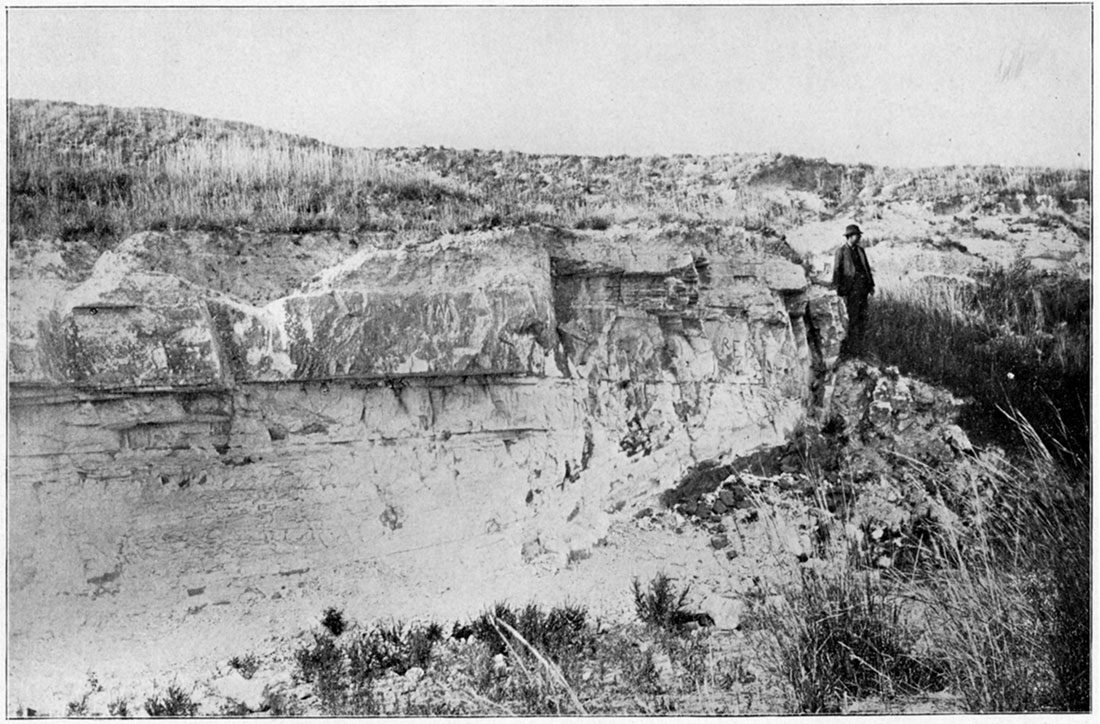 Black and white photo: Stratified volcanic ash in the Tertiary near Meade.