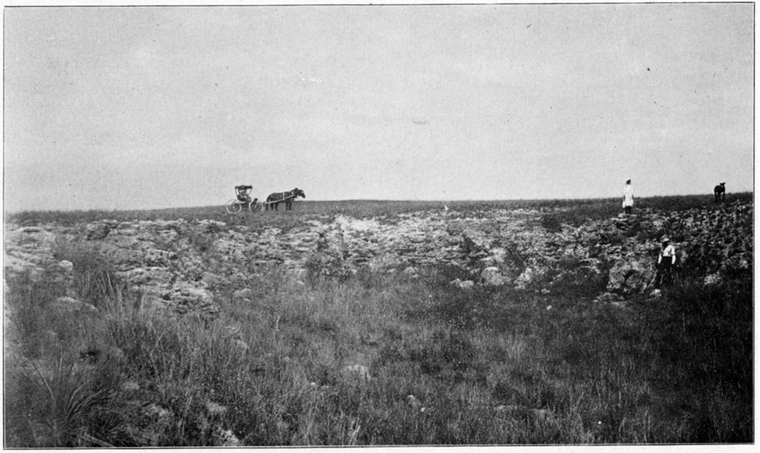 Black and white photo: Mortar beds on the uplands at head of arroyo in northwestern Clark County.