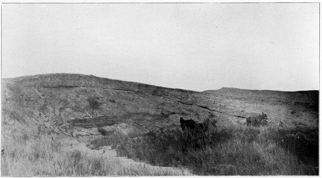 Black and white photo: Weakly cemented sand in a landslide, south side Cimarron River near Englewood.