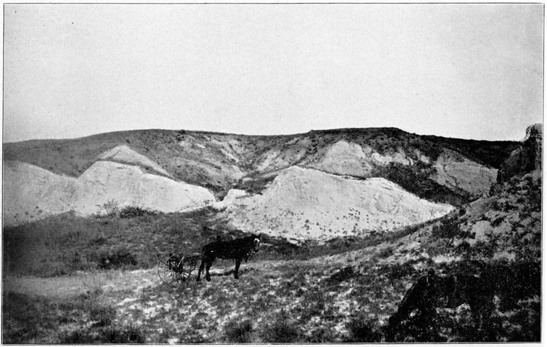 Black and white photo: White Tertiary bluffs with inclined strata, south bank of Cimarron River.